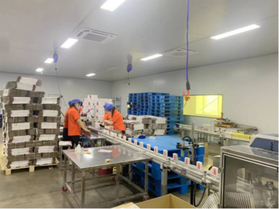 鐵富鎮(zhèn)&ldquo;僵尸企業(yè)&rdquo; 活起來